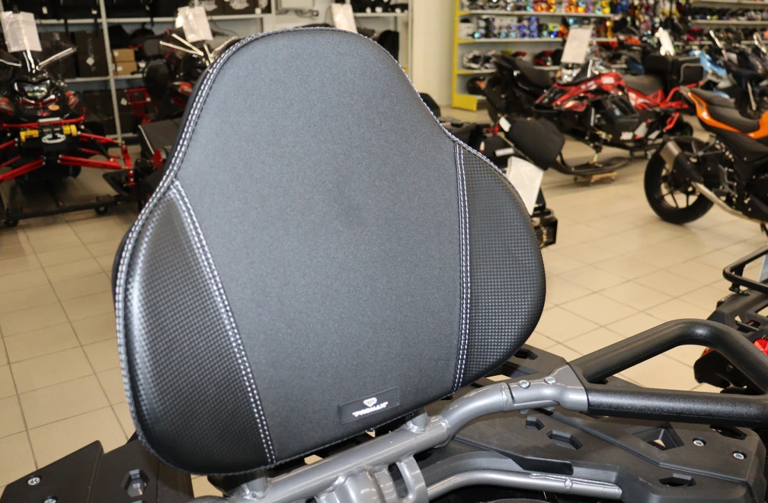 Квадроцикл PROMAX RENEGADE 300 LONG WINCH PRO (2025) в Каспийске