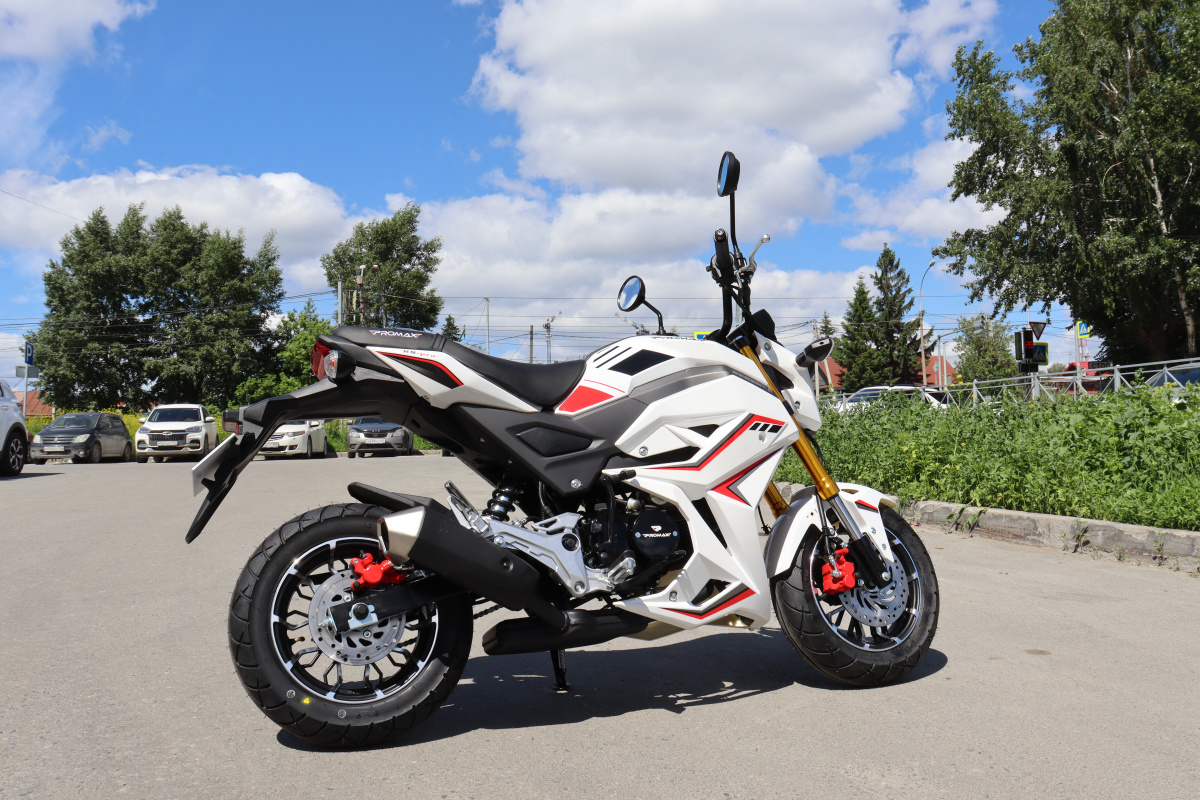 Мотоцикл PROMAX STRYKER 200(49) 2.0 в Каспийске