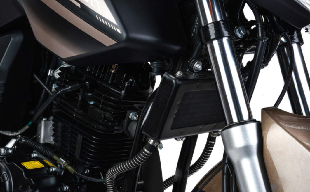 Мотоцикл MOTOLAND (МОТОЛЕНД) 300 BANDIT в Каспийске