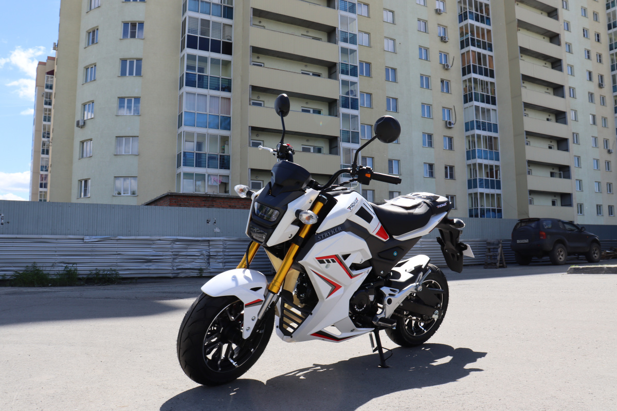Мотоцикл PROMAX STRYKER 200(49) 2.0 в Каспийске