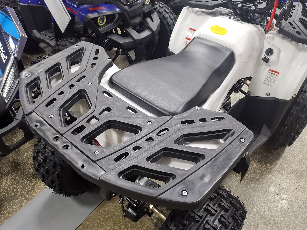 Квадроцикл PROMAX WILD 175 LUX в Каспийске