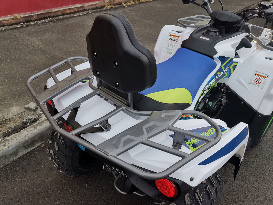 Квадроцикл PROMAX RENEGADE 280 LUX (2025) в Каспийске