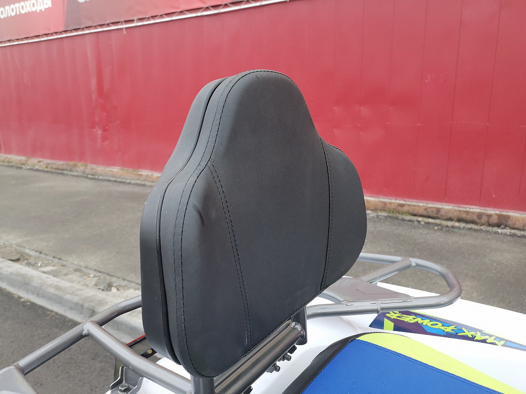 Квадроцикл PROMAX RENEGADE 280 LUX (2025) в Каспийске