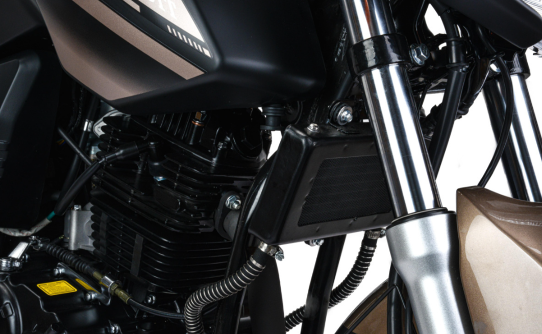 Мотоцикл MOTOLAND (МОТОЛЕНД) 300 BANDIT в Каспийске