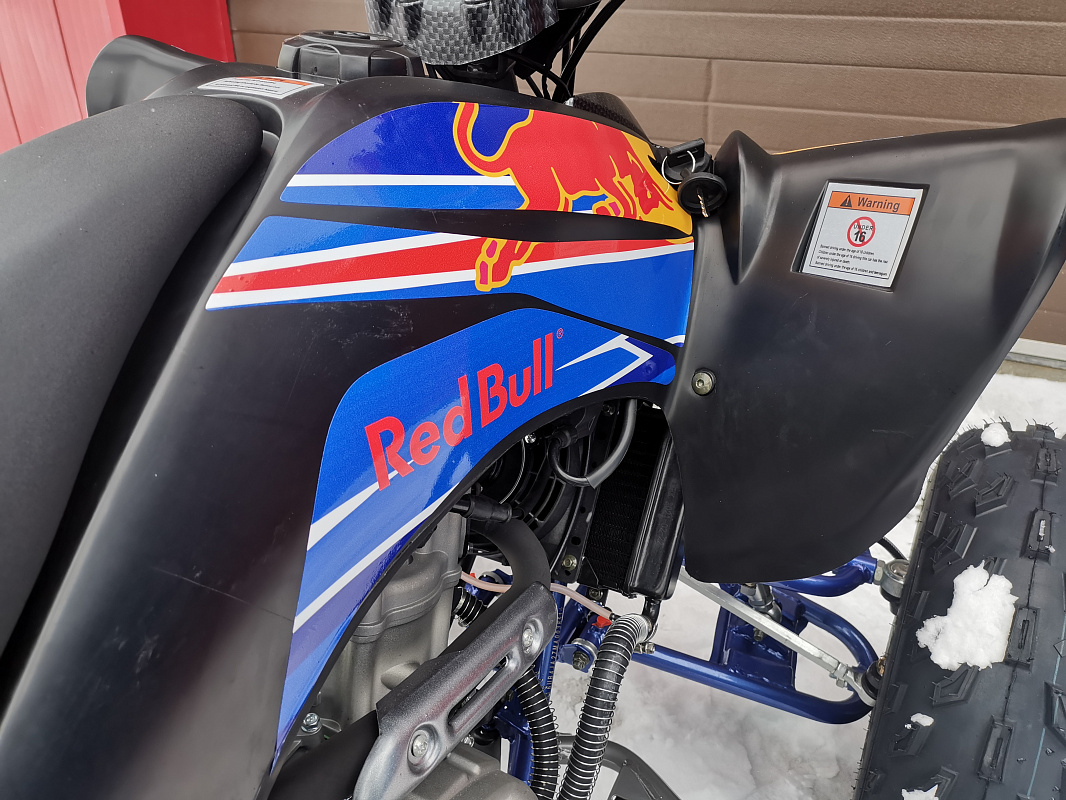Квадроцикл PROMAX RAPTOR 300 NEW RedBull в Каспийске