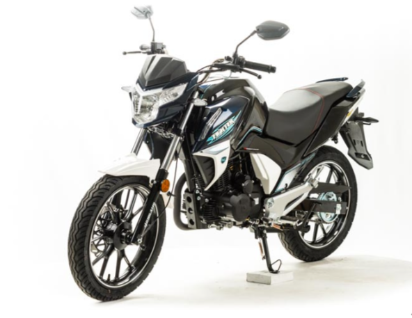 Мотоцикл MOTOLAND (МОТОЛЕНД) FIGHTER 250 в Каспийске