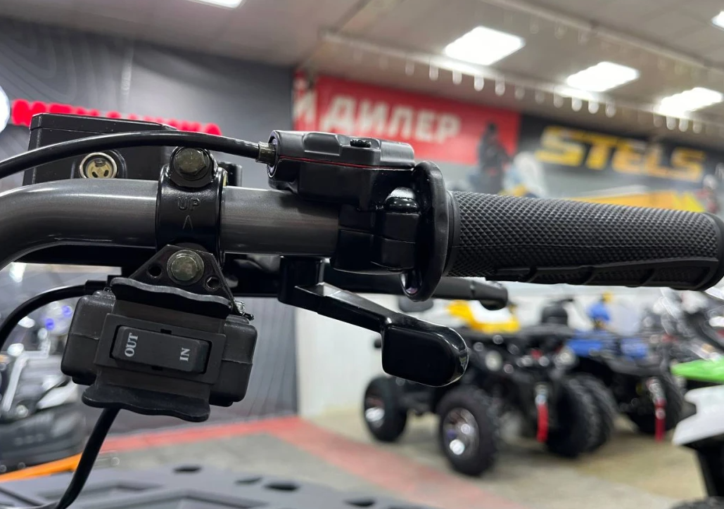 Квадроцикл PROMAX RENEGADE 300 LONG WINCH PRO (2025) в Каспийске