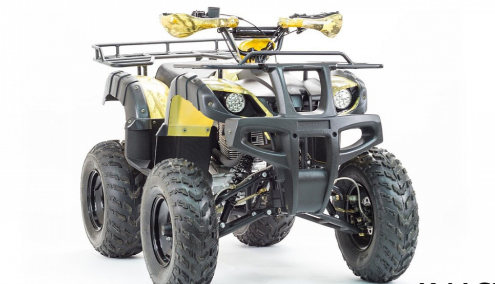 Квадроцикл MOTOLAND (МОТОЛЕНД) 250 ADVENTURE в Каспийске