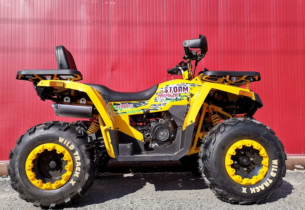 Квадроцикл PROMAX STORM 280 LUX в Каспийске