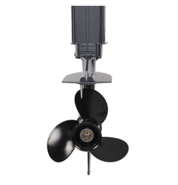 Лодочный мотор ALLFA CG Т40FW S в Каспийске