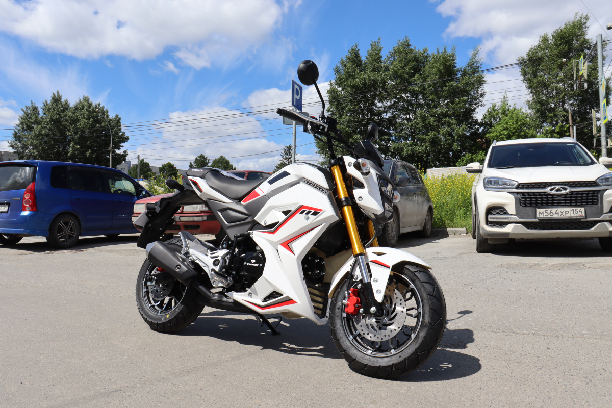 Мотоцикл PROMAX STRYKER 200(49) 2.0 в Каспийске