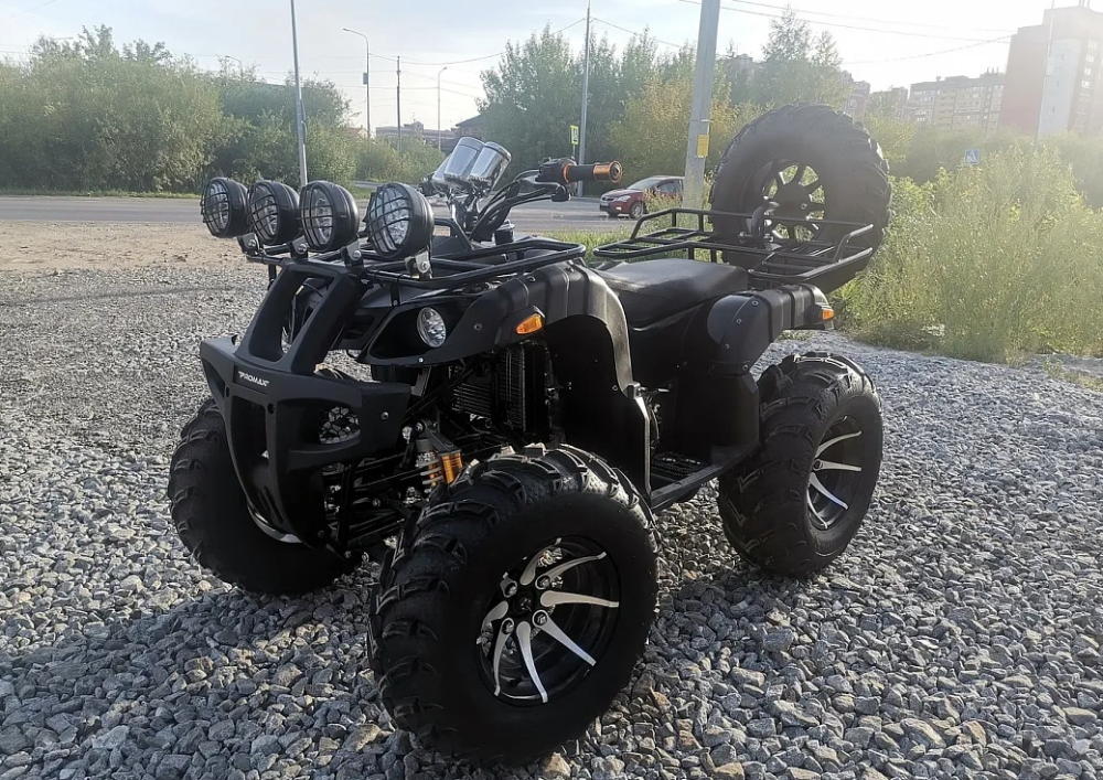 Квадроцикл PROMAX LEO 300 Max (кардан) в Каспийске