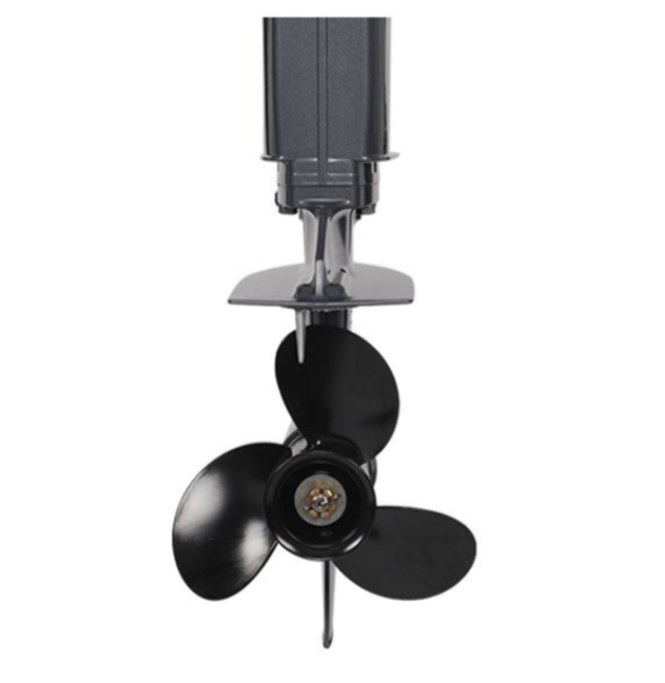 Лодочный мотор ALLFA CG Т40FWT S в Каспийске