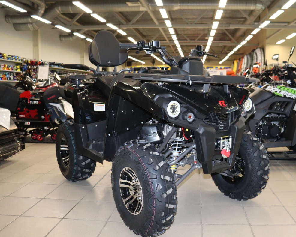 Квадроцикл PROMAX RENEGADE 300 LONG WINCH PRO (2025) в Каспийске
