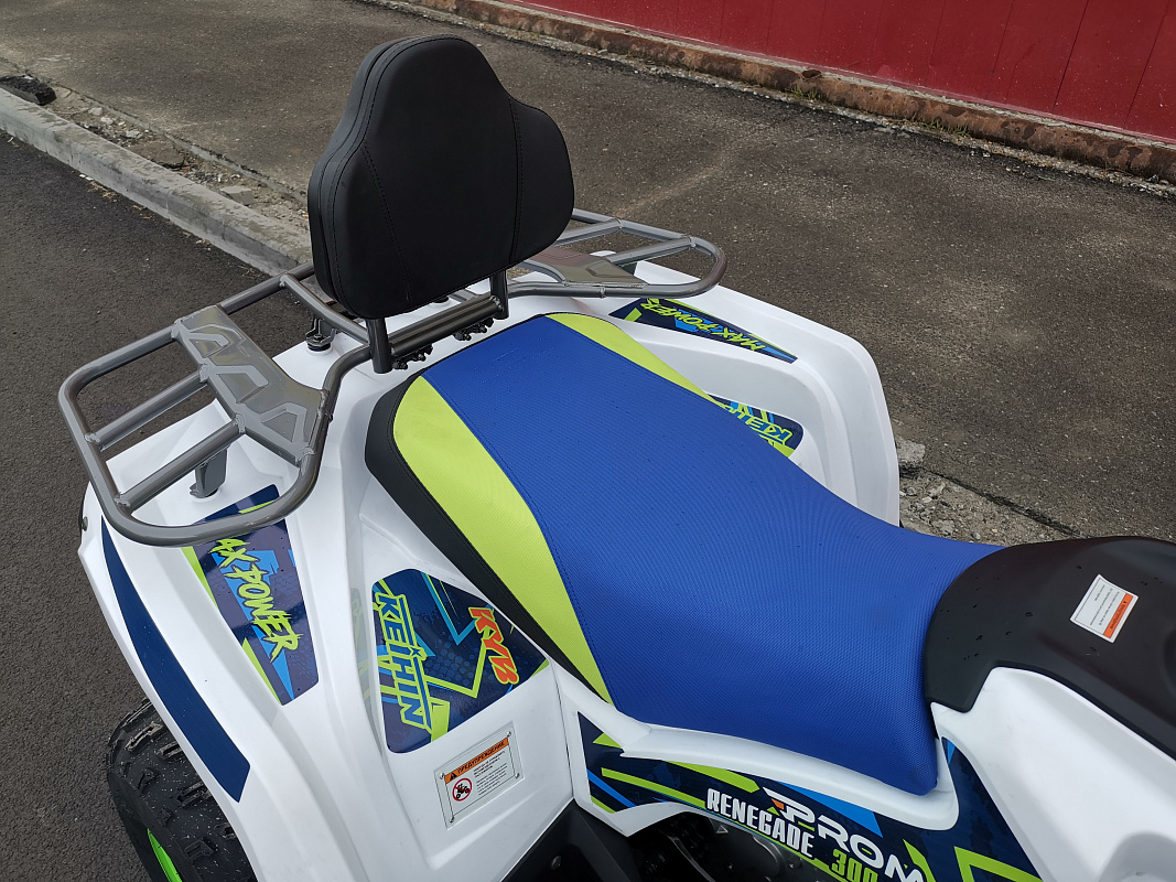 Квадроцикл PROMAX RENEGADE 280 LUX (2025) в Каспийске