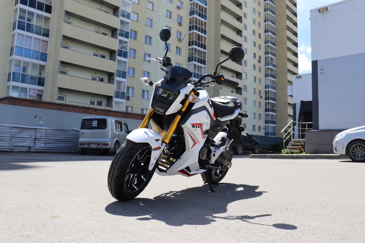 Мотоцикл PROMAX STRYKER 200(49) 2.0 в Каспийске