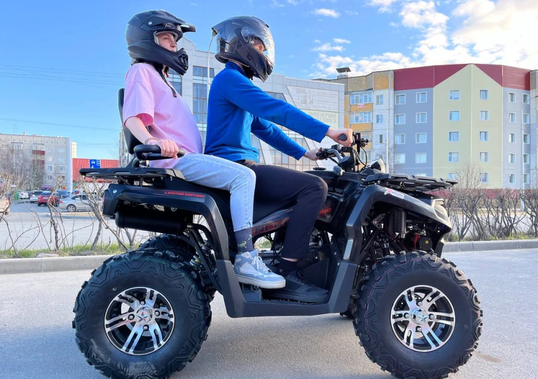 Квадроцикл PROMAX RENEGADE 300 LONG WINCH PRO (2025) в Каспийске