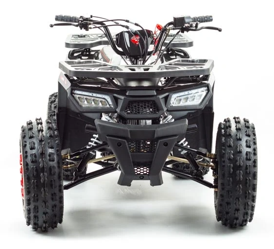 Квадроцикл PROMAX WILD 175 в Каспийске