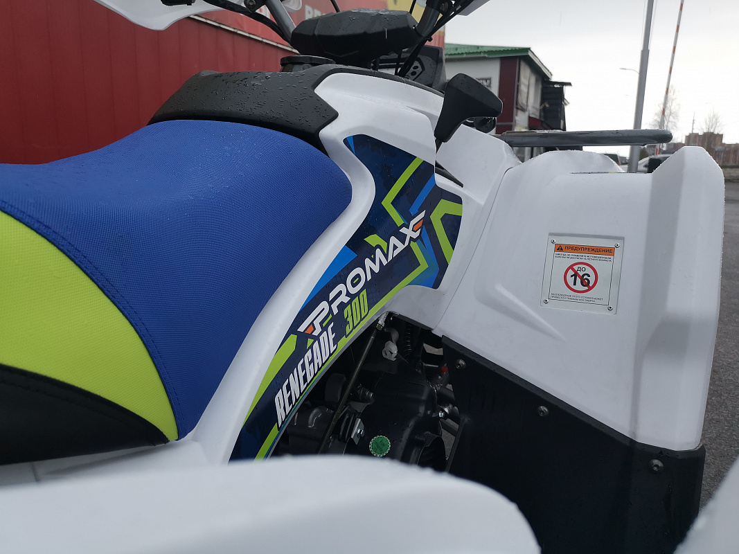 Квадроцикл PROMAX RENEGADE 280 LUX (2025) в Каспийске