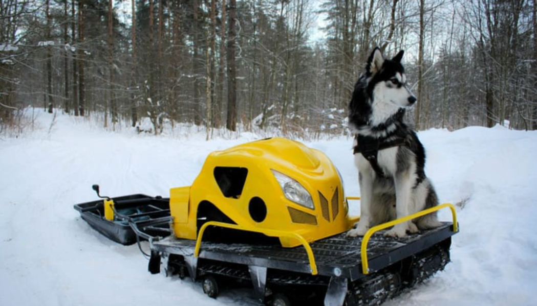 Мотобуксировщик LEBEDEV MOTORS ВОЛКОДАВ POWER V13 в Каспийске
