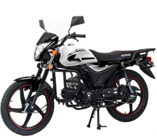 Мопед MOTOLAND (МОТОЛЕНД) Альфа RS 11 (LM48-B) в Каспийске