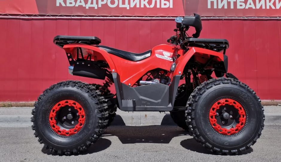 Квадроцикл PROMAX WILD 175 BASIC в Каспийске