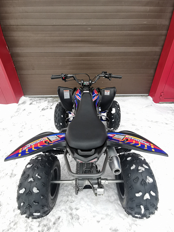 Квадроцикл PROMAX RAPTOR 300 NEW RedBull в Каспийске