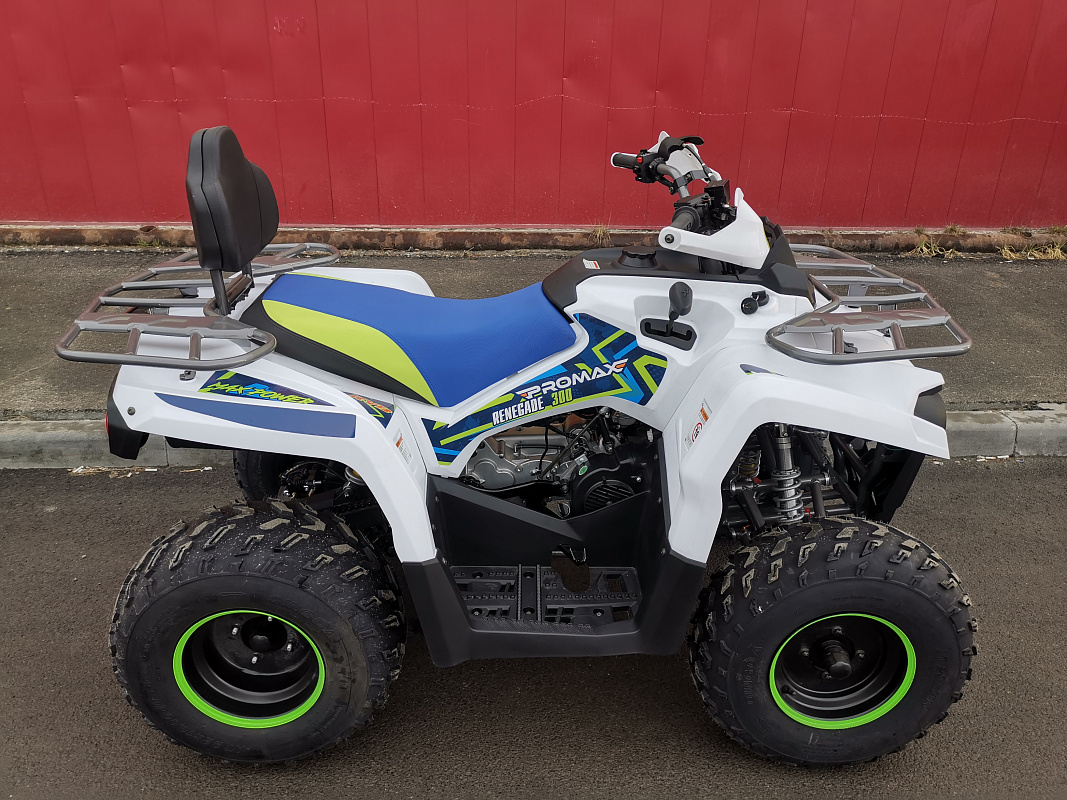 Квадроцикл PROMAX RENEGADE 280 LUX (2025) в Каспийске