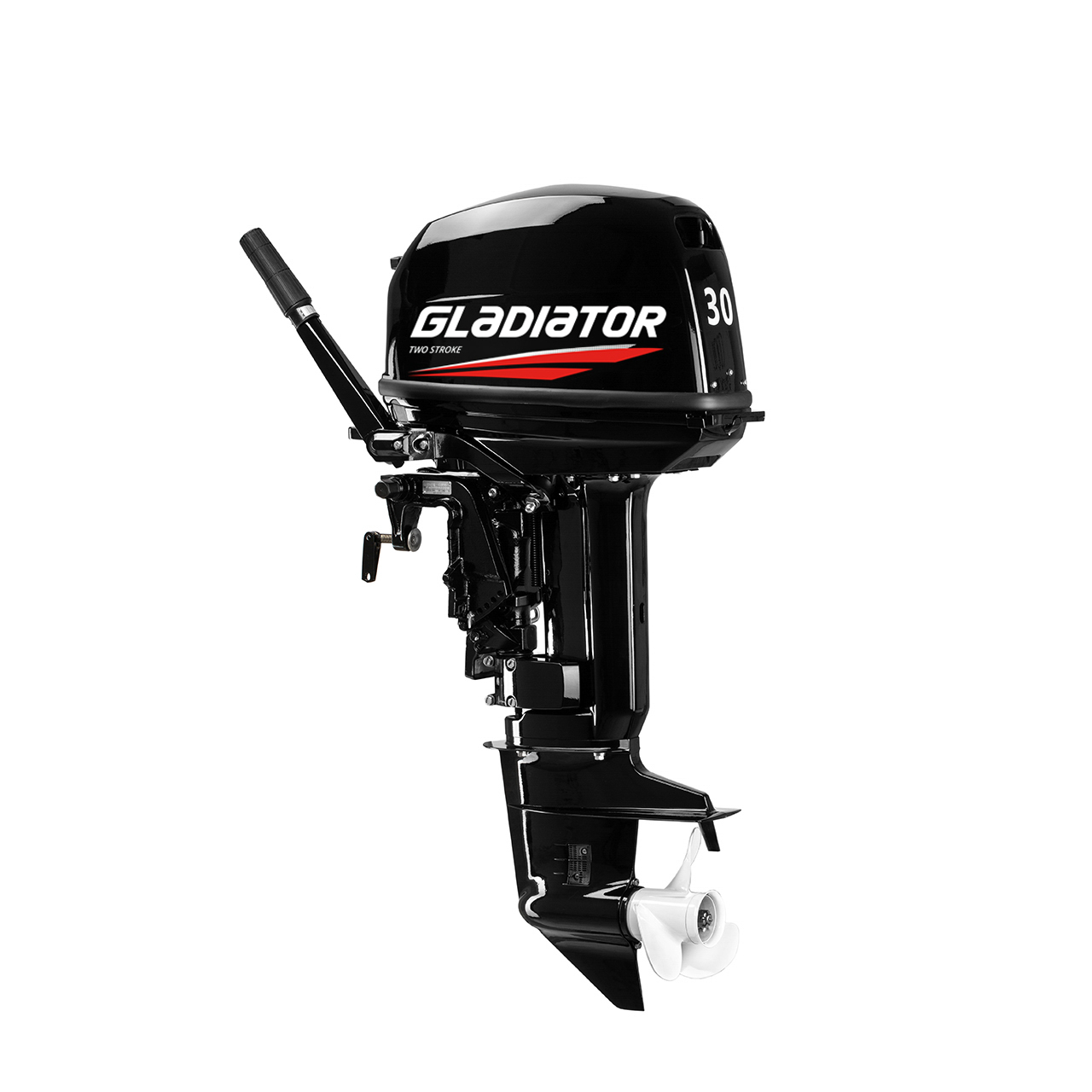 ЛОДОЧНЫЙ МОТОР GLADIATOR G30FHS в Каспийске