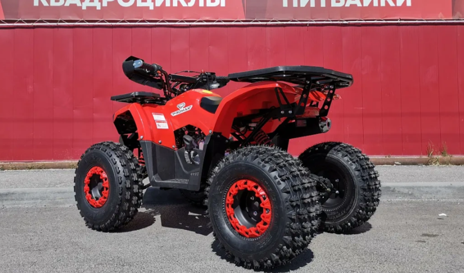 Квадроцикл PROMAX WILD 175 BASIC в Каспийске