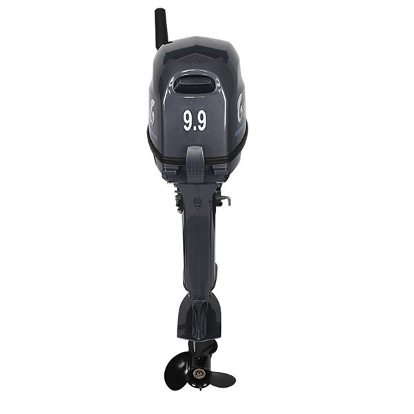 Лодочный мотор ALLFA CG Т9.9(20)MAX в Каспийске