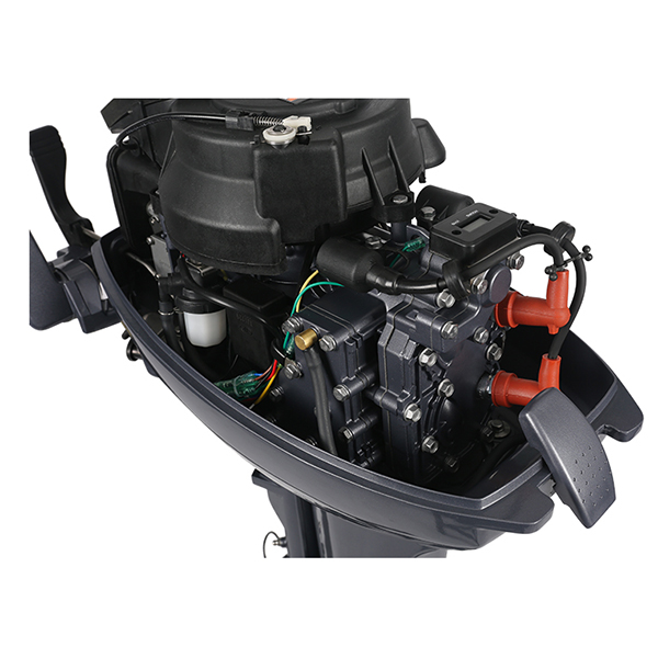 ЛОДОЧНЫЙ МОТОР ALLFA CG Т9,9 Limit в Каспийске