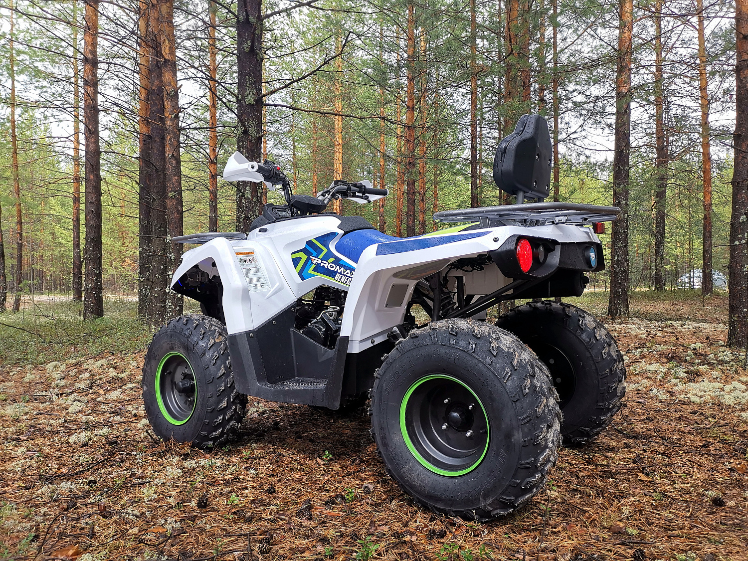 Квадроцикл PROMAX RENEGADE 280 (2025) в Каспийске