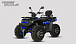 Квадроцикл PROMAX TAURUS 300 MAX-PRO LONG в Каспийске