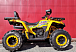 Квадроцикл PROMAX STORM 280 LUX в Каспийске