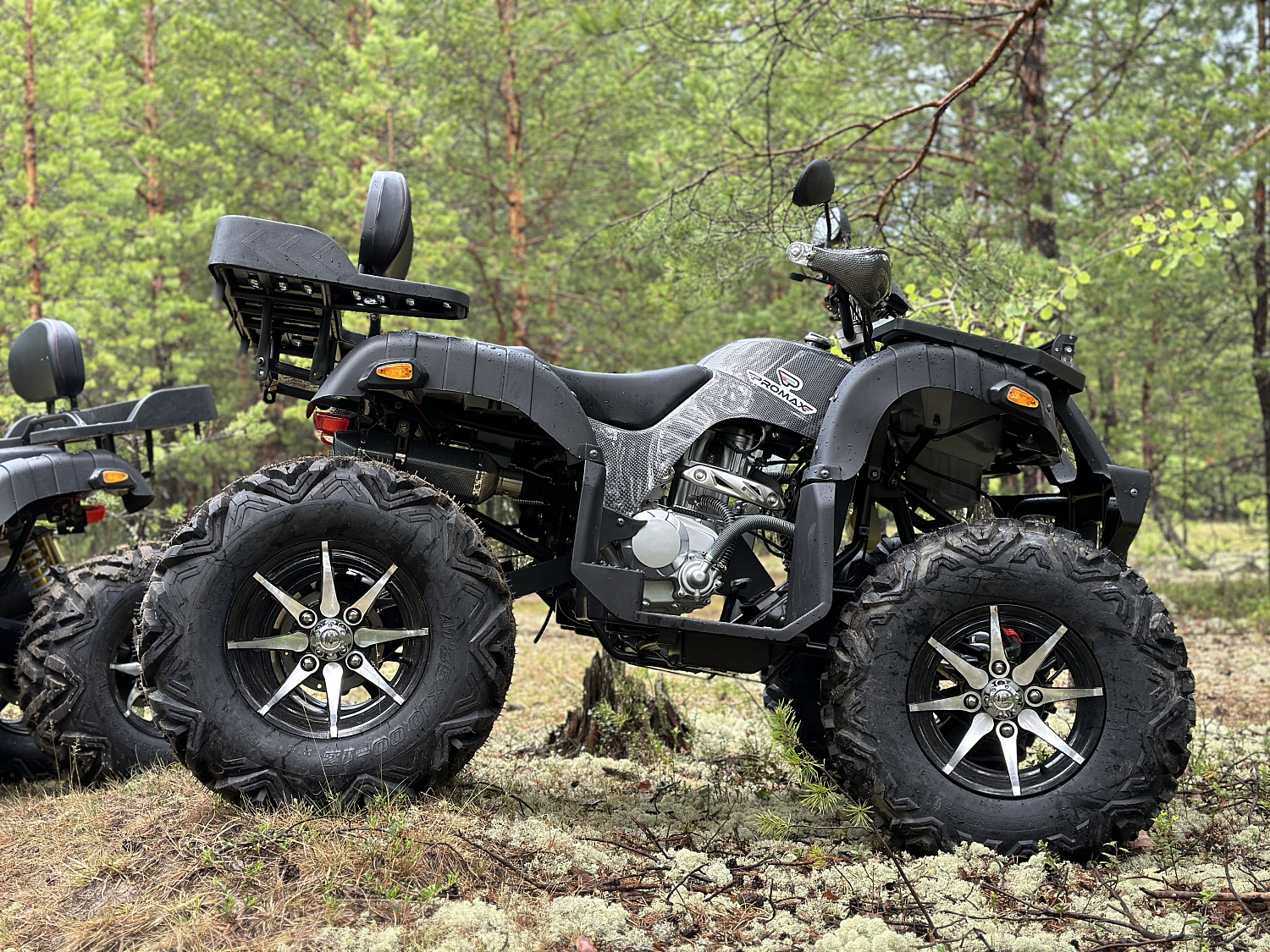 Квадроцикл PROMAX 320 DOMINATOR (2025) в Каспийске