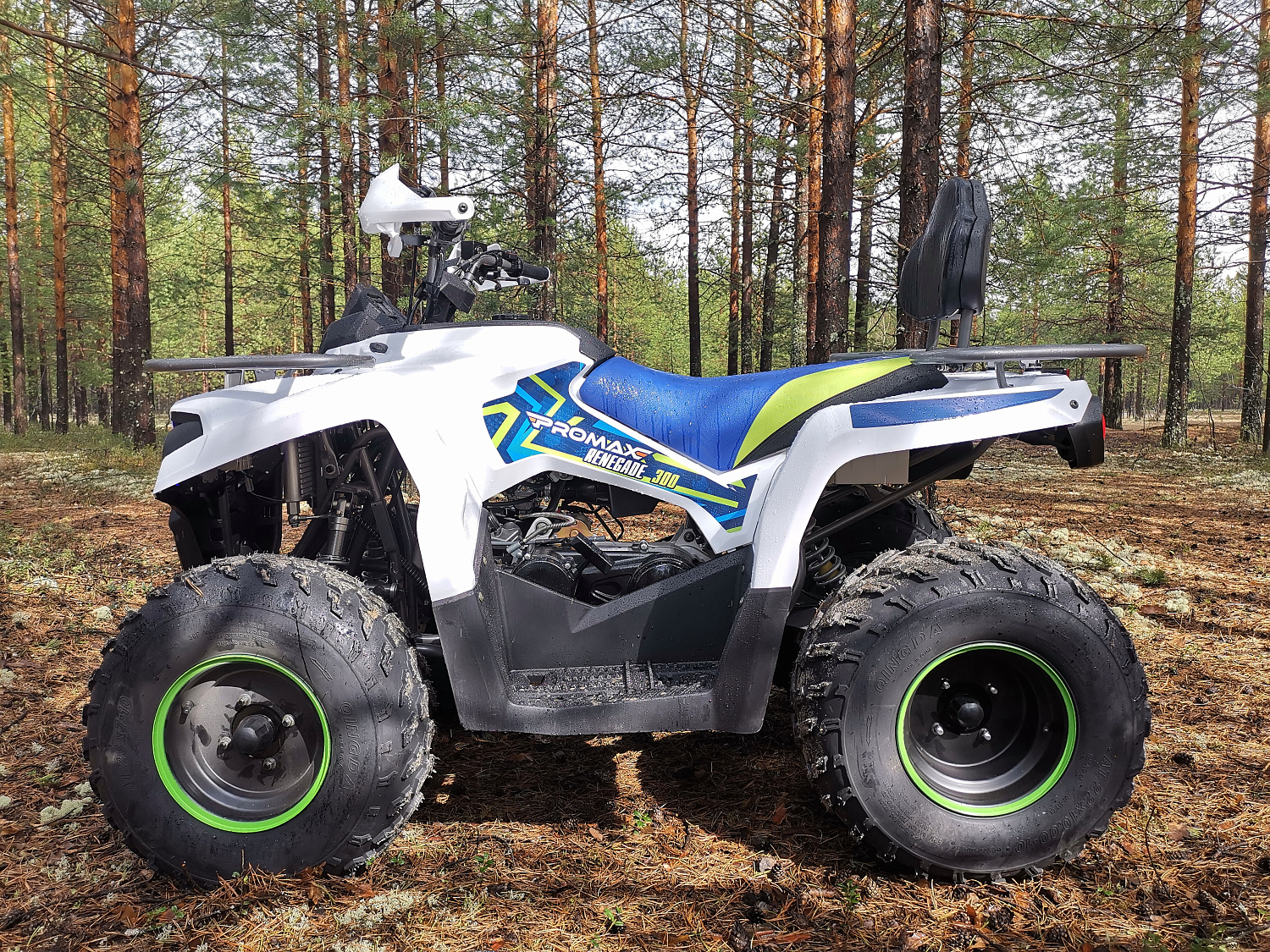 Квадроцикл PROMAX RENEGADE 280 (2025) в Каспийске