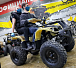 Квадроцикл PROMAX ATV 250 (2025) в Каспийске