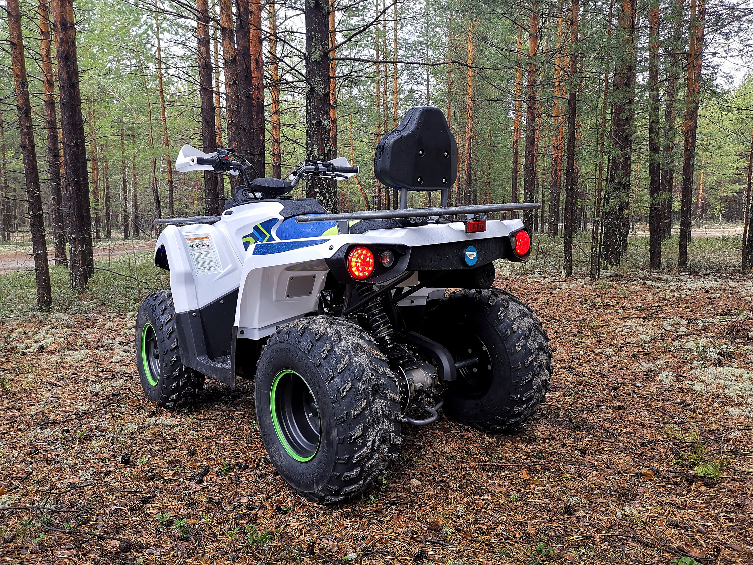 Квадроцикл PROMAX RENEGADE 280 (2025) в Каспийске