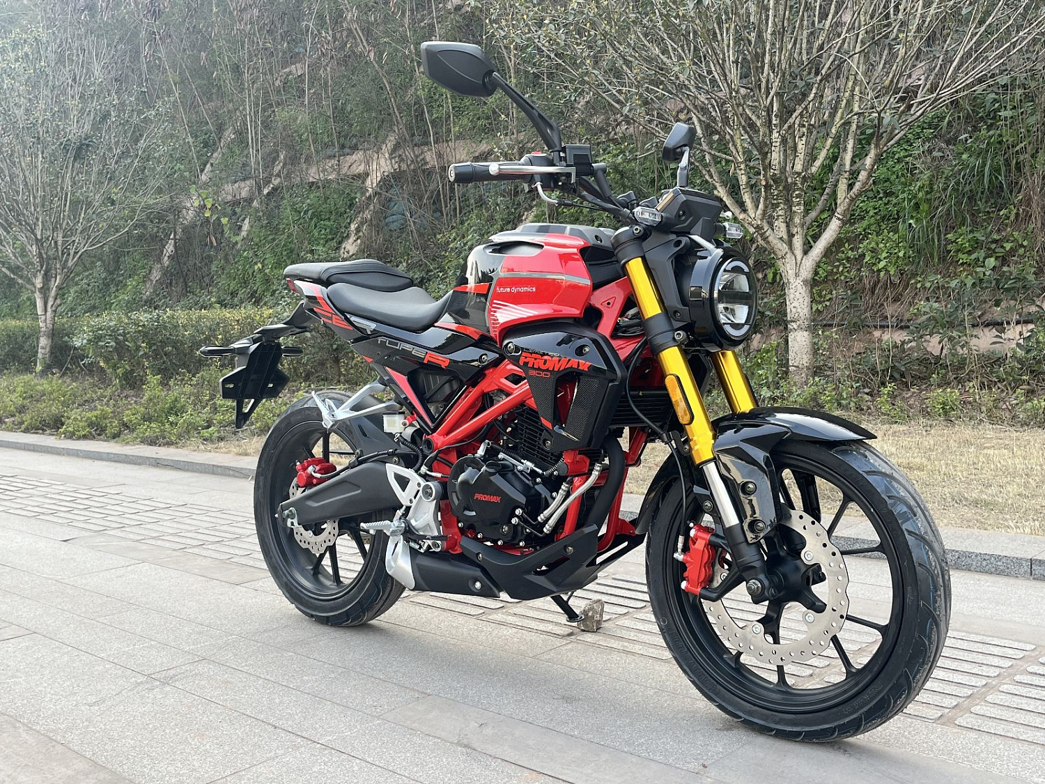 Мотоцикл PROMAX CB300 в Каспийске