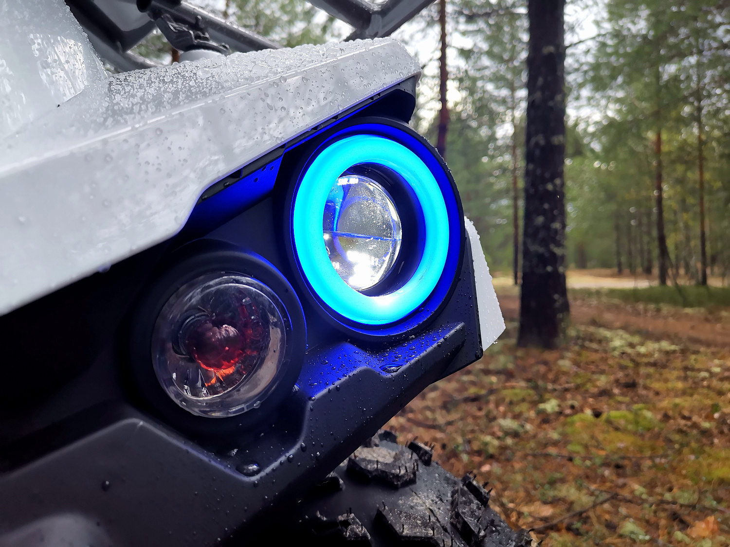 Квадроцикл PROMAX RENEGADE 280 (2025) в Каспийске