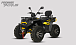 Квадроцикл PROMAX TAURUS 300 MAX-PRO LONG в Каспийске
